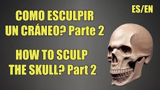 COMO Esculpir el CRÁNEO en Plasticera o Arcilla Parte 2  HOW to Sculp the SKULL in Clay Part 2 [upl. by Ermine]