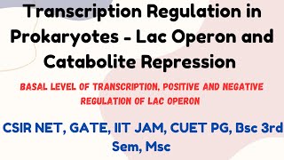 Transcription Regulation in Prokaryotes  Lac Operon and Catabolite repression msc csirnet bsc [upl. by Ahtebat411]