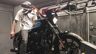 2018 HarleyDavidson Iron 1200 Dyno [upl. by Haim648]