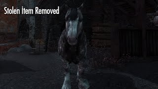 Didnt Know Skyrim Horses Could Do This [upl. by Hisbe]