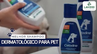 Cetodine Shampoo Antifúngico e Antibacteriano para Cães e Gatos  Lavizoo [upl. by Hiamerej]