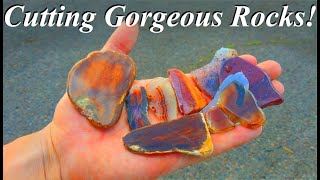 SLABBING and Cutting Gorgeous Agates Jaspers Fossils amp More Rocks Coming out of The Tumbler Too [upl. by Palila]