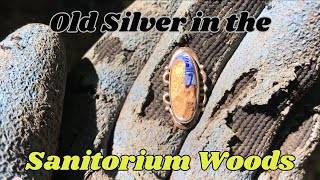 Old Silver in the Sanitorium Woods [upl. by Ethelinda]