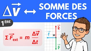 Vecteur variation de vitesse et somme des forces  1ère  Physique [upl. by Meridith84]