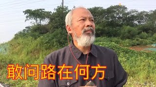 一首西游记主题歌（敢问路在何方）重温经典曲目！特别好听！ [upl. by Eiramrebma]