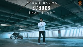 Karam Bajwa  Echoes EP  Thats Why [upl. by Nyleaj772]