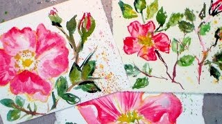 How to paint beach roses in watercolor easy tutorial [upl. by Wildermuth319]