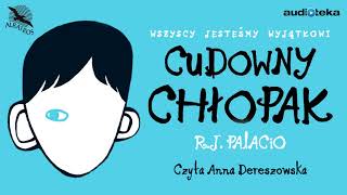 quotCudowny chłopakquot  audiobook [upl. by Anelrahc42]