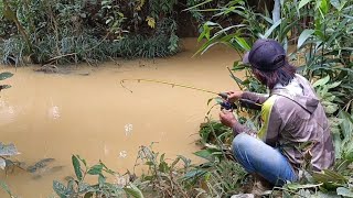 Mancing di sungai yg keruh  umpan cacing [upl. by Japheth]