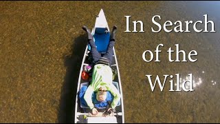 54 miles3 days canoeing Meramec River Missouri [upl. by Okechuku]