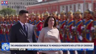 News Mongolia  20240920 [upl. by Belloir]