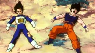 TFS  Vegeta and Goku get hit in the D [upl. by Valenza155]