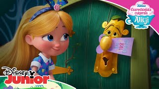 ☕ Dołącz do imprezki  Czarodziejska cukiernia Alicji  Disney Junior Polska [upl. by Damiani408]