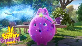 SUNNY BUNNIES  MAGICAL MOMENTS  Season 7 COMPILATION  Cartoons for Kids [upl. by Della]