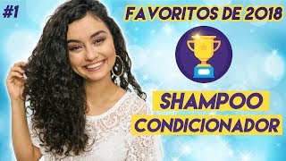 Shampoo e Condicionador FAVORITOS 2018 nolow poo  Morena Raiz [upl. by Katie313]