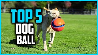 ✅Top 5 Best Dog Ball in 2024 [upl. by Ellenaej]