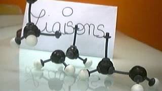 stopmotion Polymérisation du polyethylène [upl. by Yelraf]