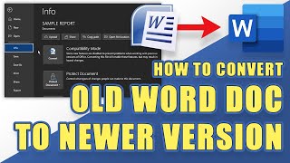 How to Use Track Changes in Microsoft Word [upl. by Daniala532]