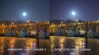 Low light comparison GH5s vs A7SII vs A7RIII [upl. by Coe]