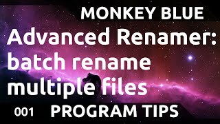 Advanced Renamer how to batch rename multiple files at once [upl. by Delsman]