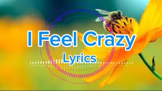 Aeden amp Joelle  I Feel Crazy  Future House  Lyrics  NCS [upl. by Luing]