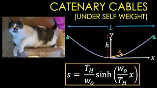 Catenary Cables  Learn with Pi [upl. by Wulfe]