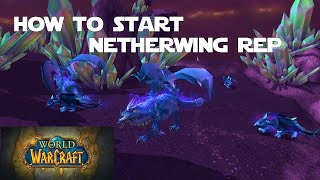 How to Get Started with the Netherwing Faction and Get your Netherwing Drake [upl. by Dasha636]