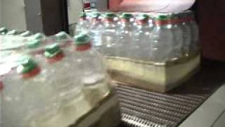 65TW BOTTLES IN TRAYS Shrink Wrap Packaging Machine [upl. by Kloman652]