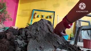 किचन वेस्ट से ऐसे बनाएंगे खाद तो आपके पौधे भरपूर फूल और फल देंगेHowtomake compost from kitchenvest [upl. by Dnomde331]