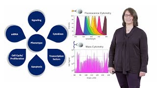 Mass Cytometry Introduction  Susanne Heck NIHR BRC [upl. by Acul139]