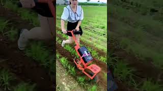 New agricultural implements are online 48V narrow spacing trenching tool is here One machine h [upl. by Vitoria]