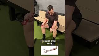 Pitcher Elbow Strengthening Exercises [upl. by Aleydis532]