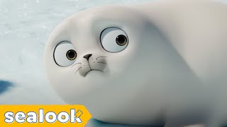 The Cutest Moments of Baby Seal is HereㅣSEALOOKㅣEpisodes Compilation [upl. by Thatcher]