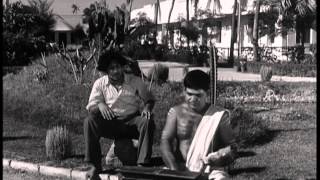 Parasakthi  Tamil Movie Comedy  Sivaji Ganesan  Pandari Bai [upl. by Blanchette]