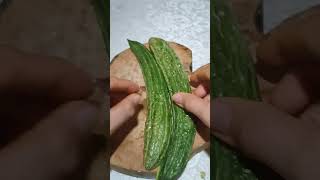 satisfayingsounds slicing bittergourd asmr ampalaya veggie satisfying viralvideo shorts [upl. by Nevarc416]