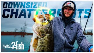 How to Fish Downsized ChatterBaits for Spring Bass [upl. by Prudhoe544]