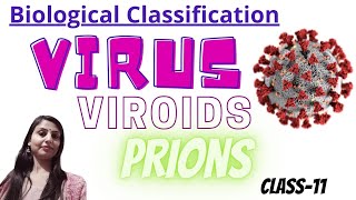 VirusBiological ClasificationViriodsPrions Class 11 BiologyNCERT NEETBindu Biology Academy [upl. by Garner437]