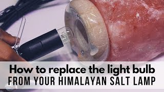 How to replace the light bulb from your Himalayan Salt Lamp [upl. by Stanford]