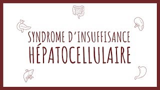 Sémiologie Hépatique  Insuffisance Hépatocellulaire [upl. by Brindle942]