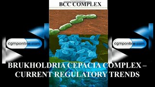 Burkholdoria cepacia  a cGMP update [upl. by Akieluz384]