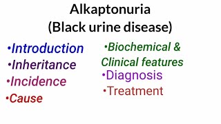 Alkaptonuria  Introduction InheritanceCauseBiochemicalampClinical featuresDiagnosis amp Treatment [upl. by Amzu]