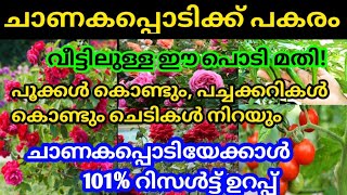 101 റിസൾട്ട്‌ ചാണകപ്പൊടിക്ക് പകരം ഇതൊന്ന് ഉപയോഗിച്ച് നോക്കു Homemade Fertilizer Instead Of Cowdung [upl. by Abrahan]