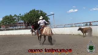 LOS ALEGRES DE CALIFORNIA Vs 1er VAQUILLA EN LOS TOCAYOS DE STOCKTON CA 42824 [upl. by Sabino]