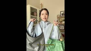 香奈儿22bag和Goyard Hobo对比分享 Part1 [upl. by Susann]