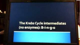 Medical mnemonics Krebs cycle [upl. by Enutrof103]