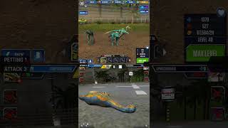 COMPSOGNATHUS ALL EVOLUTION amp COMPSOGNATHUS ALL ANIMATION  Jurassic World The Game [upl. by Aynotak81]