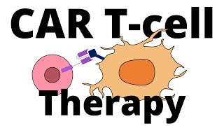 CAR Tcell Therapy explained Manufacturing process amp how it works [upl. by Tedric]