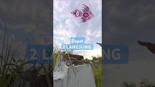 Wadidaw Awe Awe layanglayangputus layangan layanglayang [upl. by Luhem]