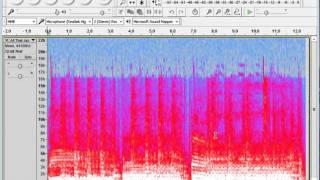 Spectrograms of Musical Recordings with Audacity [upl. by Muriah606]