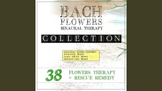 Scleranthus Eft Dose Therapy Binaural Real Frequency from Bach Flowers [upl. by Cioban]